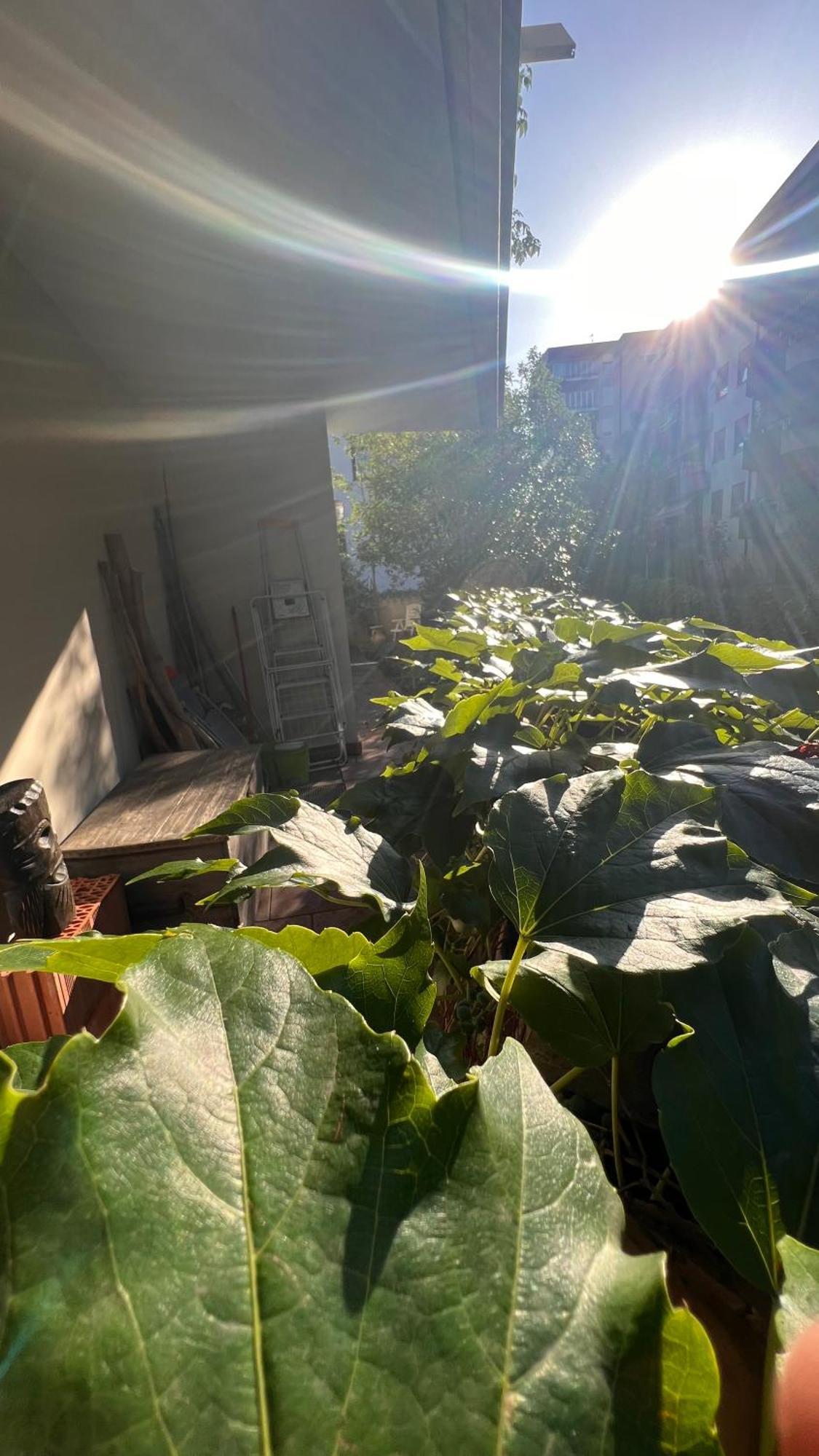 Garden Suite Bozen Exterior foto