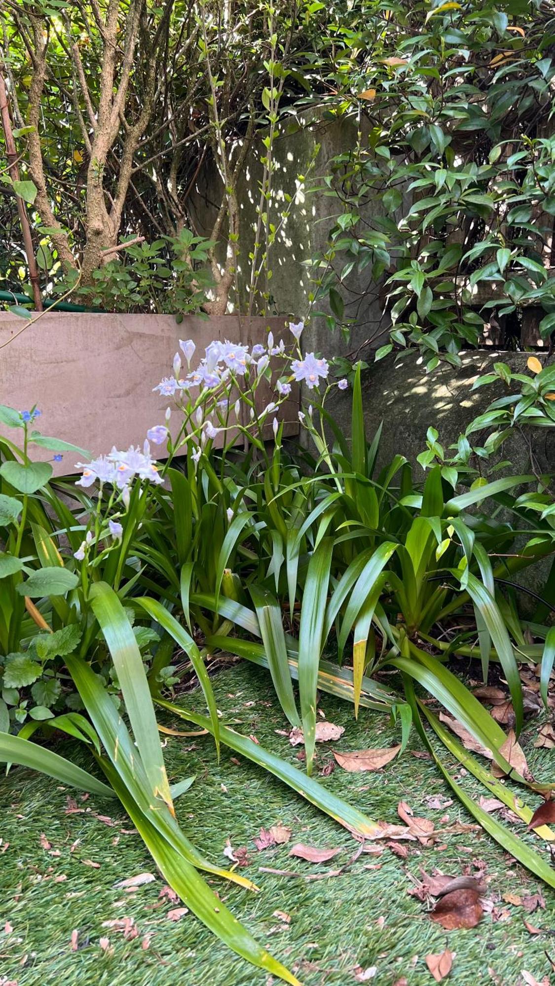 Garden Suite Bozen Exterior foto